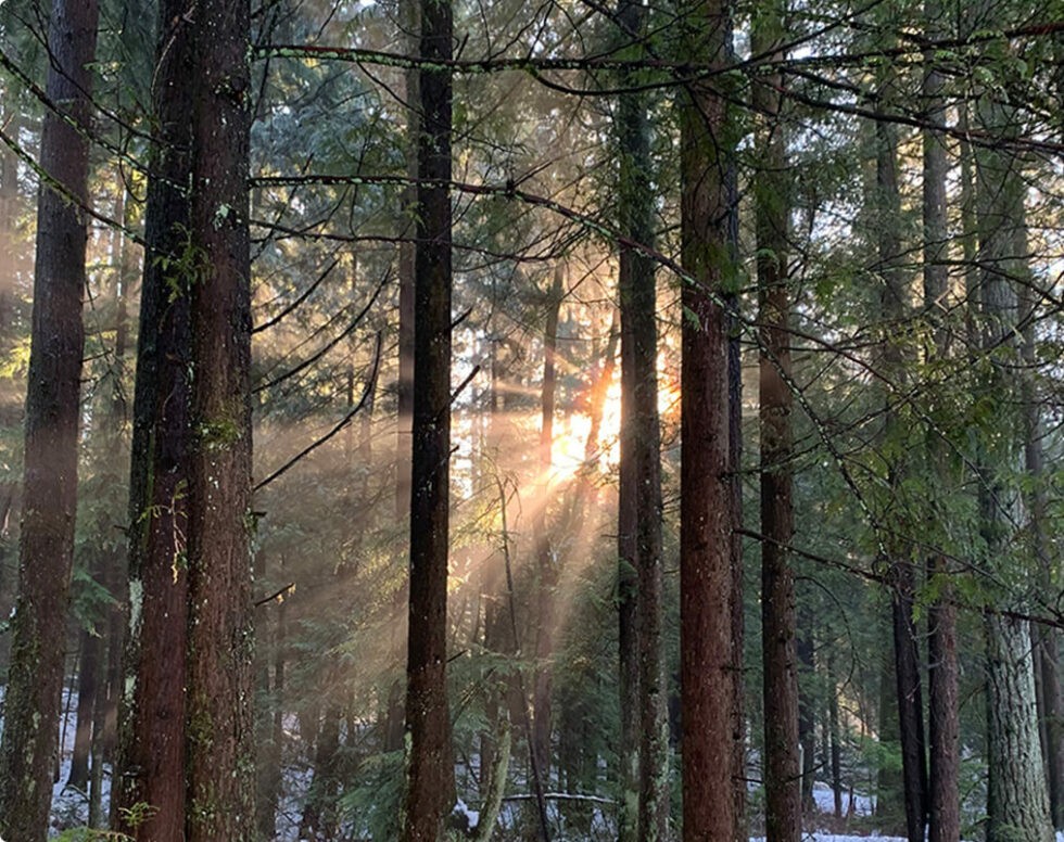 Interlock Energy Accelerating Our LowCarbon Future